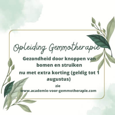 intensieve opleiding gemmotherapie intensieve opleiding gemmotherapie